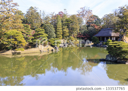 映照著秋葉的日本庭園（京都桂浦裡久） 133537765