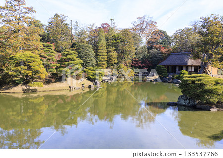 映照著秋葉的日本庭園（京都桂浦裡久） 133537766