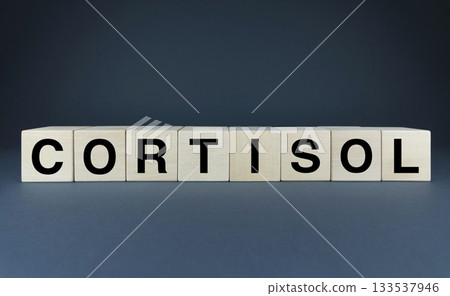 Cortisol hormone. Cubes form the word cortisol. Cortisol hormone. Cubes form the word cortisol. 133537946