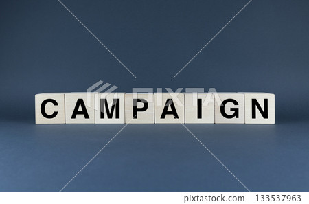 Campaign. The cubes form the word Campaign. 133537963