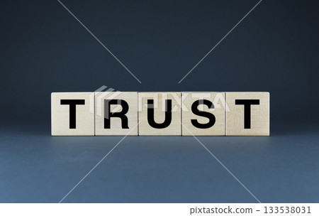 Trust. The cubes form the word Trust Trust. The cubes form the word Trust 133538031