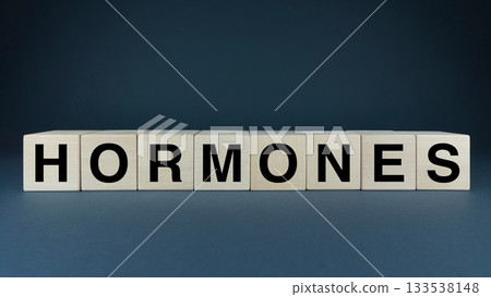 Hormones. Cubes form the word Hormones. Hormones word concept Hormones. Cubes form the word Hormones. Hormones word concept 133538148