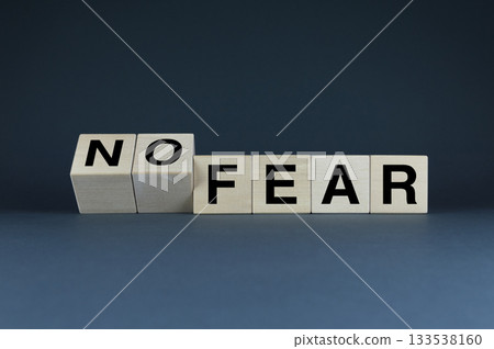 No fear. The cubes form the word No fear. The extensive concept of the word No fear No fear. The cubes form the word No fear. The extensive concept of the word No fear 133538160