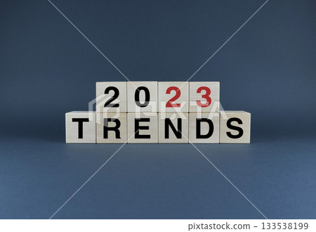 Cubes form words Trends 2023. Business concept of trends in 2023 133538199