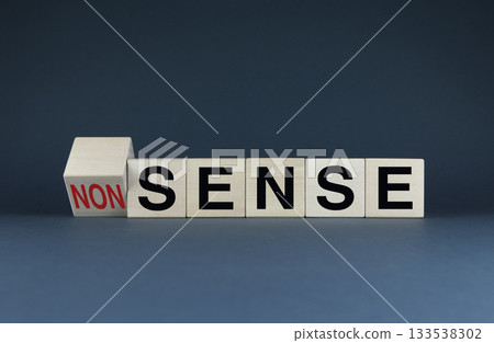 Cubes form the words Sense or Nonsense. The concept of logical useful information versus silly and illogical absurdity 133538302