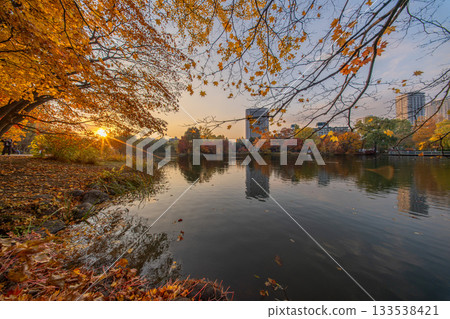 Hokkaido Nakajima Park Autumn Leaves Lotus Pond Autumn Ginkgo Maple Toyohirakan Hokkaido Nakajima Park Autumn Leaves Lotus Pond Autumn Ginkgo Maple Toyohirakan 133538421