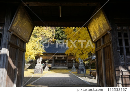 岡山縣真庭市日斬福田神社：銀杏葉變黃時 133538567