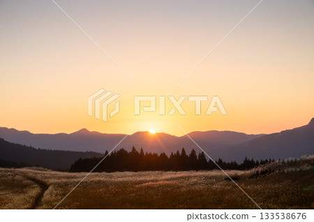 Orange sunset and silver grass, the rustic countryside scenery of Sone Highlands is beautiful 133538676