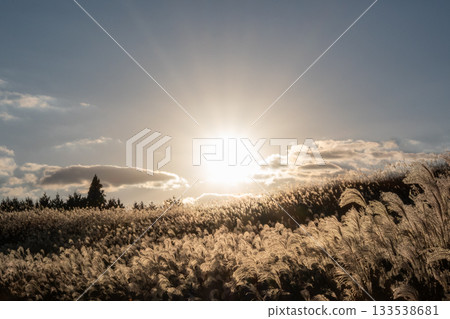 美麗的日落和銀色的草地，索恩高地的質樸鄉村風光 133538681