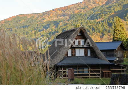 Autumn foliage at Ainokura Gassho-style Village in Gokayama (Nanto City, Toyama Prefecture) Autumn foliage at Ainokura Gassho-style Village in Gokayama (Nanto City, Toyama Prefecture) 133538796