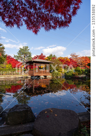 北海道札幌平岡植物園秋葉楓樹隧道 北海道札幌平岡植物園秋葉楓樹隧道 133538892