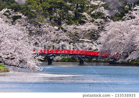 櫻井弘前城西護城河 133538935