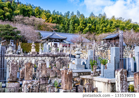 Winter scenery of the grounds of Adashino Nenbutsu-ji Temple, Ukyo Ward, Kyoto City, Kyoto Prefecture 133539055