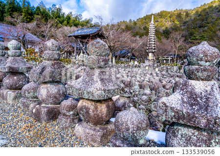 京都府京都市右京區西院川岸11號，安達野念佛寺的冬景，西院川岸上仍殘留著積雪。 133539056
