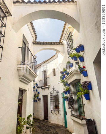 White Andalusian Alley with Blue Flower Pots 133539091