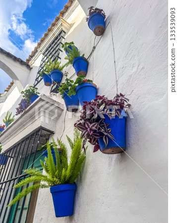 Blue Flower Pots on White Wall Blue Flower Pots on White Wall 133539093