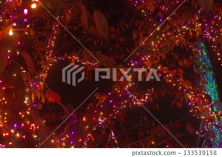 Red illumination 133539158