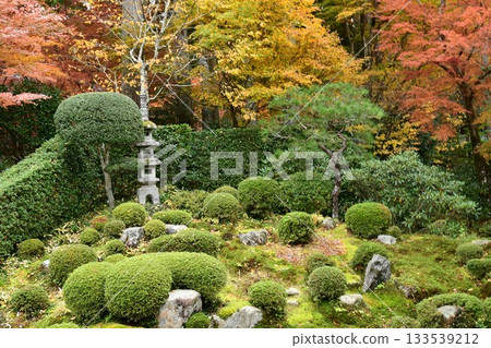 Mossy stone lantern and autumn leaves Mossy stone lantern and autumn leaves 133539212