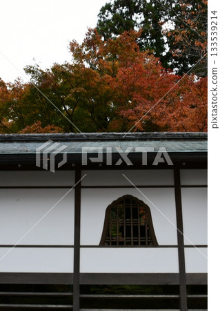 Autumn garden with beautiful autumn leaves Autumn garden with beautiful autumn leaves 133539214