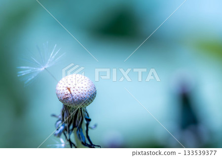 Even though it's spring 133539377