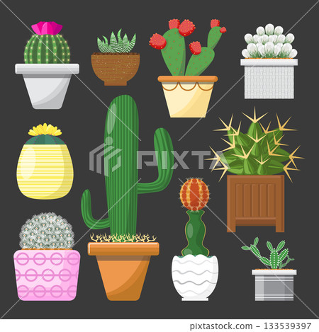 cactus plant in pot set collection 133539397