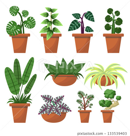 Set of succulents in Terracotta pots on white background. Set of succulents in Terracotta pots on white background. 133539403