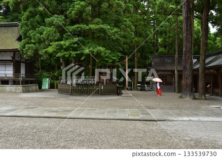 大神殿的神圣雪松 133539730