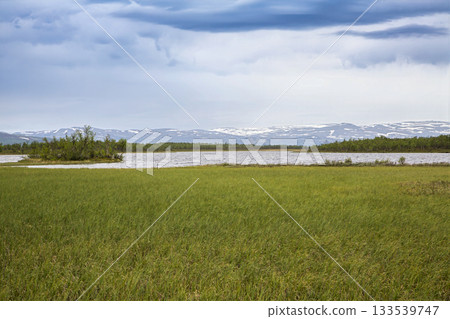 Fokstumyra Nature Reserve in Dovrefjell Mountains features expansive wetlands and diverse plant life during a calm summer day 133539747