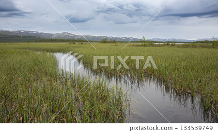 Scenic view of Fokstumyra Nature Reserve showcasing lush grasslands and tranquil water in the Dovrefjell mountains of Norway Scenic view of Fokstumyra Nature Reserve showcasing lush grasslands and tranquil water in the Dovrefjell mountains of Norway 133539749