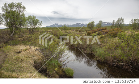 Explore the diverse landscapes of Fokstumyra Nature Reserve in Dovrefjell, Norway during a tranquil spring day 133539754
