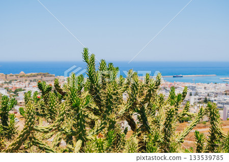 View of the Greek coastal town Rethymno with Austrocylindropuntia subulata cacti in the foreground View of the Greek coastal town Rethymno with Austrocylindropuntia subulata cacti in the foreground 133539785