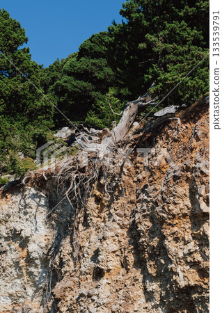 Cretan mountain landscape with exposed roots of old pine tree after landslide. Cretan mountain landscape with exposed roots of old pine tree after landslide. 133539791