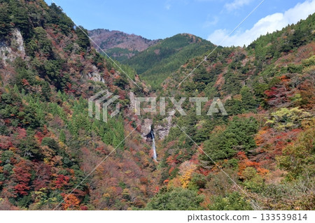 Oara Falls Momiji Gorge (Kami City, Kochi Prefecture) 133539814