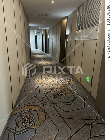 Hotel corridor elevator hall 133539886