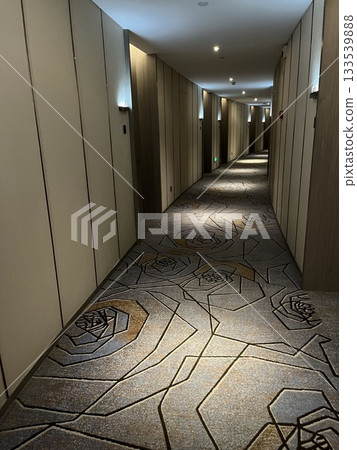 Hotel corridor elevator hall 133539888