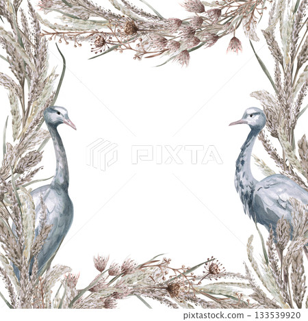 A square frame of herbs, flowers, and gray African demoiselle cranes. Isolated watercolor illustration for environmental projects, eco-park tickets, packaging design, interiors, and poster printing. A square frame of herbs, flowers, and gray African demoiselle cranes. Isolated watercolor illustration for environmental projects, eco-park tickets, packaging design, interiors, and poster printing. 133539920