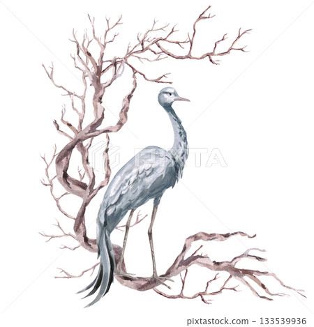 A semicircular composition with winding driftwood and a gray crane. Isolated watercolor illustration for environmental projects, travel agencies, interior design, posters, and postcards. 133539936