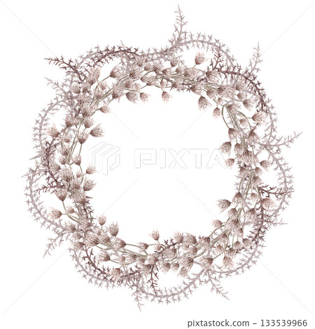A lush wreath of steppe flowers and thorns. Isolated watercolor illustration of dried flowers for eco-projects, eco-park tickets, packaging design, interiors, and poster printing. 133539966