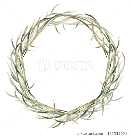 A lush wreath of sedge leaves. Isolated watercolor illustration for eco-projects, eco-park tickets, packaging design, interiors, and poster printing. A lush wreath of sedge leaves. Isolated watercolor illustration for eco-projects, eco-park tickets, packaging design, interiors, and poster printing. 133539994