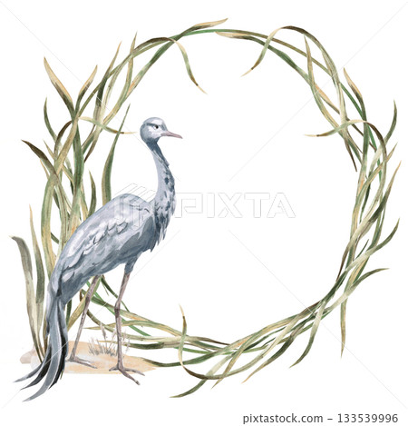 A wreath of sedge leaves and a grey crane. Isolated watercolor illustration for environmental projects, zoo tickets, packaging design, interiors, and poster printing. A wreath of sedge leaves and a grey crane. Isolated watercolor illustration for environmental projects, zoo tickets, packaging design, interiors, and poster printing. 133539996