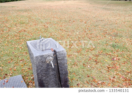 公園裡草坪上的飲水噴泉和水龍頭的特寫。 133540131