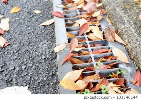 Autumn scenery. Fallen leaves have clogged the drainage ditch, causing poor drainage. 133540144