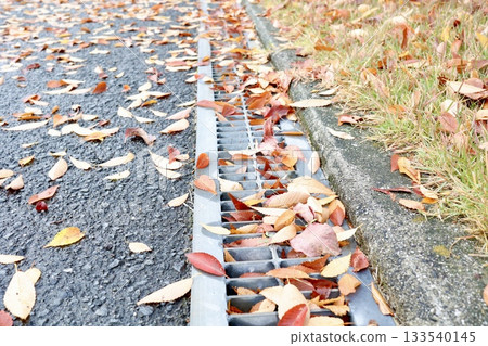 Autumn scenery. Fallen leaves have clogged the drainage ditch, causing poor drainage. Autumn scenery. Fallen leaves have clogged the drainage ditch, causing poor drainage. 133540145
