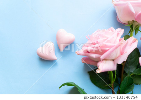 Blooming pink rose flowers 133540754