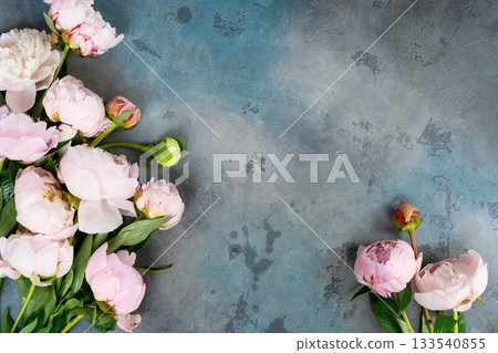 Fresh peonies flowers Fresh peonies flowers 133540855