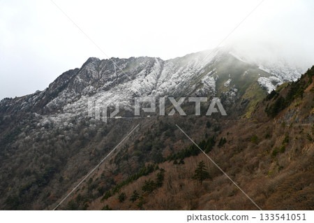 龜森霧 3（高知縣阿賀川郡伊野町） 133541051