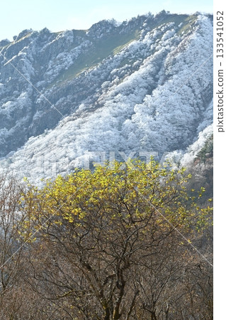 龜森霧霜 5（直式版）（高知縣阿川郡伊野町） 133541052