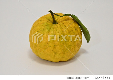 Oni Yuzu or Shishi Yuzu Oni Yuzu or Shishi Yuzu 133541353