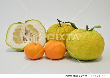Oni Yuzu 或 Shishi Yuzu 和橘子 Oni Yuzu 或 Shishi Yuzu 和橘子 133541359