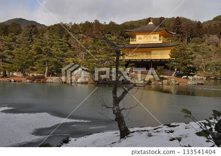 冬季的京都金閣寺 133541404